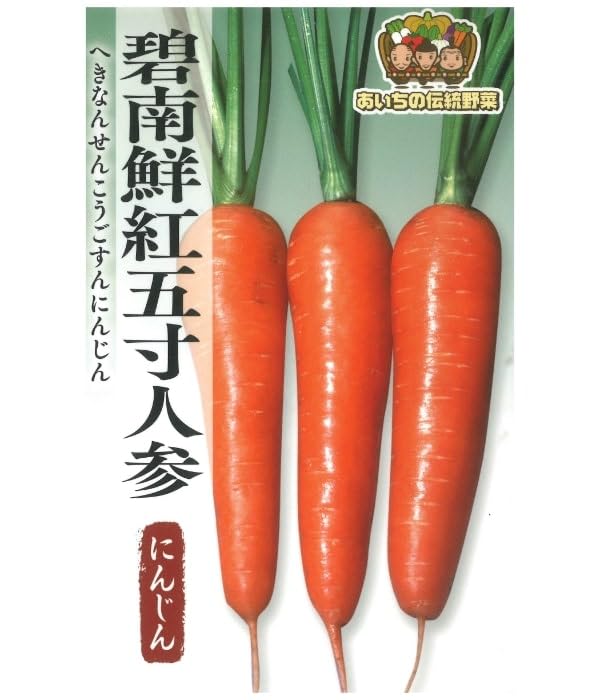 Amazon.co.jp: 伝統野菜 碧南鮮紅五寸人参（ニンジンの種） 小袋(8ml